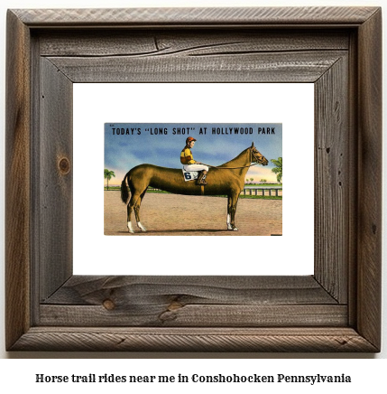 horse trail rides near me in Conshohocken, Pennsylvania